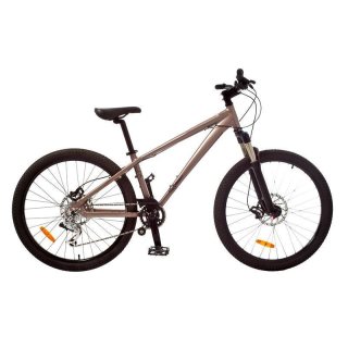 Damen-Mountainbike